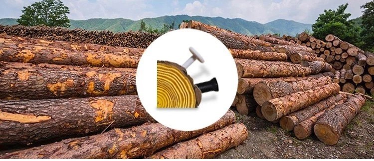 RFID Nail Tag in Wood Management 3 RFID Nail Tag in Wood Management 3